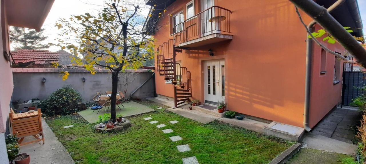 Apartman Carpe Diem 2 Zajecar Bagian luar foto